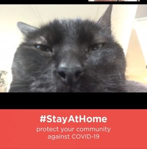 Meet your Posher, Terry